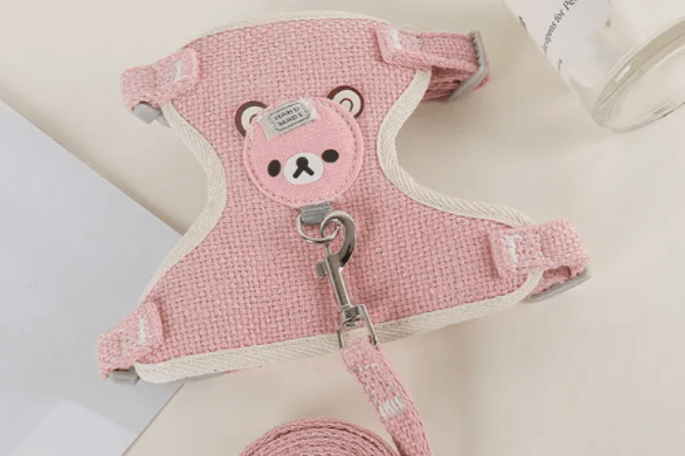 Geschirr mit passender Leine für kleine Hunde mit niedlichen Teddy-Aufnähern – Das perfekte Accessoire für dein Haustier