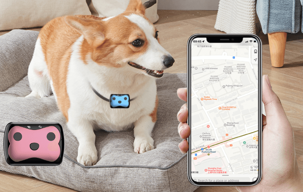 4G GPS Haustier-Tracker: Die Sichere Begleitung für Deinen Vierbeiner